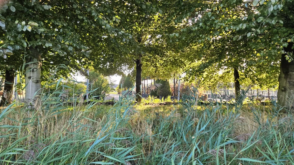 amenagement-espace-vert