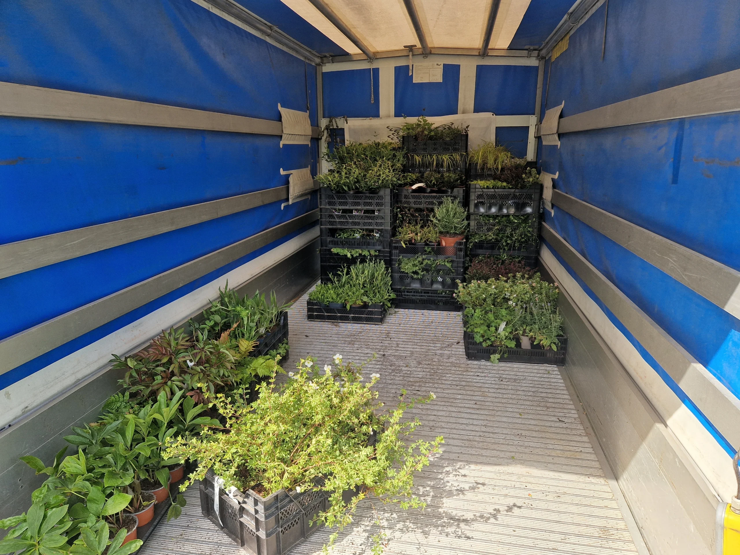 espace-vert