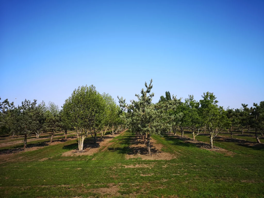 jardinerie