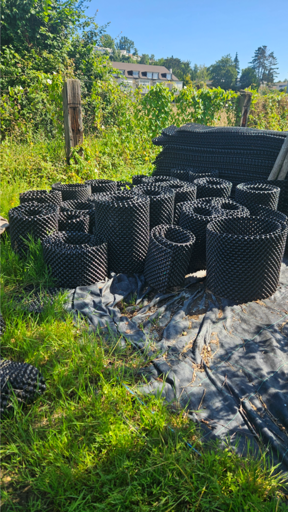 Des rouleaux Air Pot réutilisables en pépinière