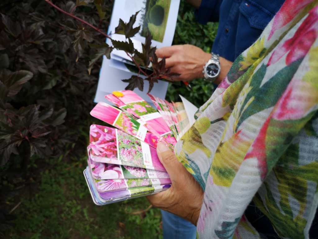 Sourceur PLANTiDEAL dans un jardin avec un nuancier